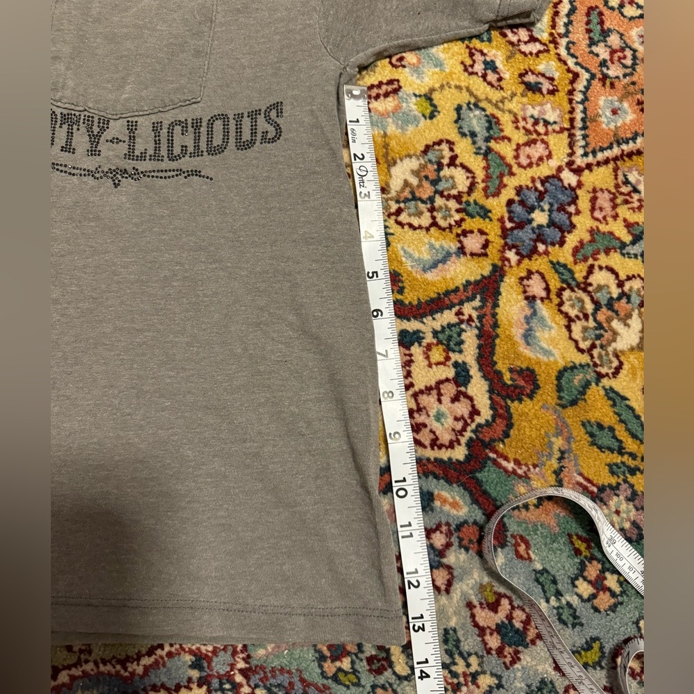 Booty-licious Rhinestone Boxy Short Sleeve Tee Women’s Small Y2K Mcbling Grey - Picture 12 of 12